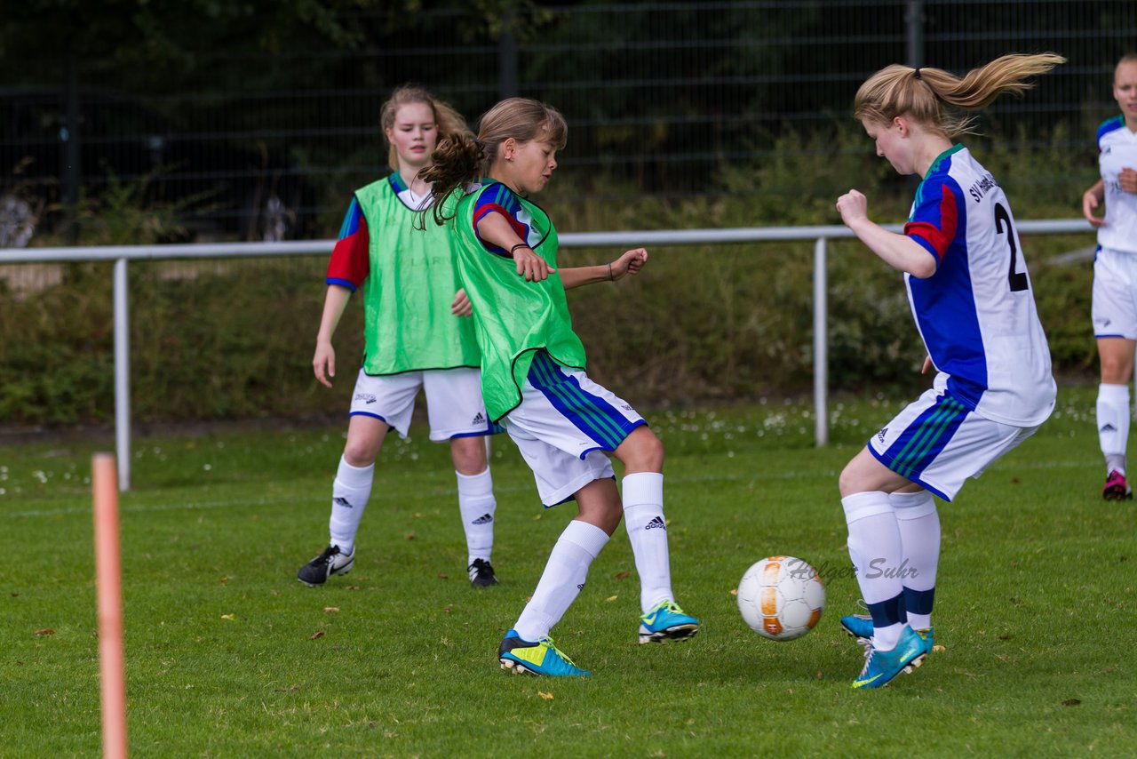 Bild 56 - B-Juniorinnen SV Henstedt Ulzburg - Frauen Bramfelder SV 3 : Ergebnis: 9:0